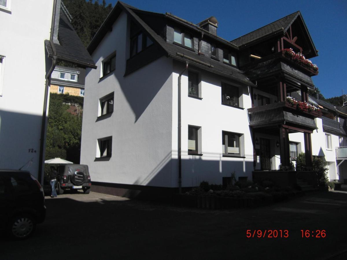 Ferienwohnung Ortsmitte-Willingen Willingen  Exterior photo