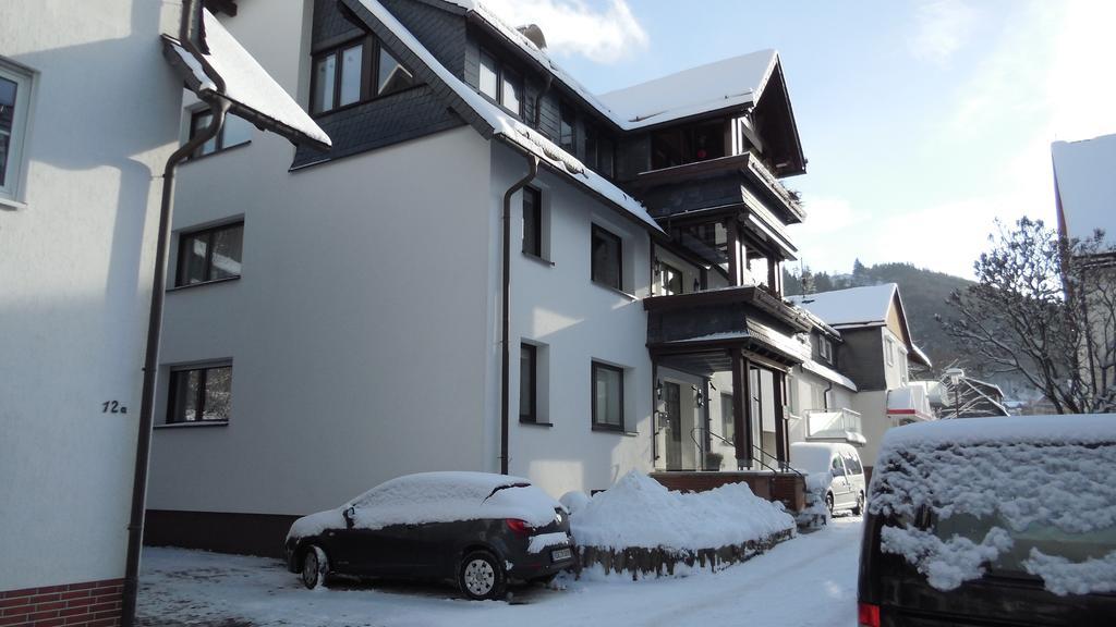 Ferienwohnung Ortsmitte-Willingen Willingen  Exterior photo