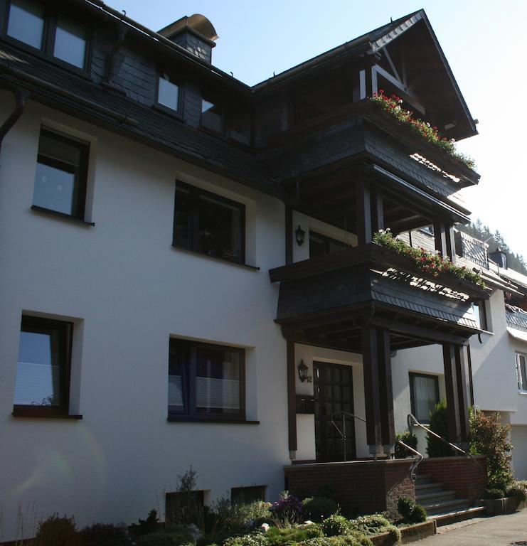 Ferienwohnung Ortsmitte-Willingen Willingen  Exterior photo